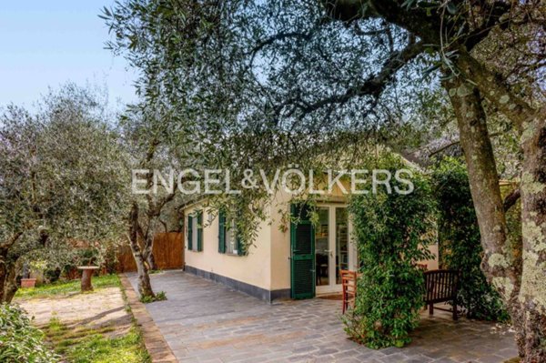 immagine annuncio 0 di 12