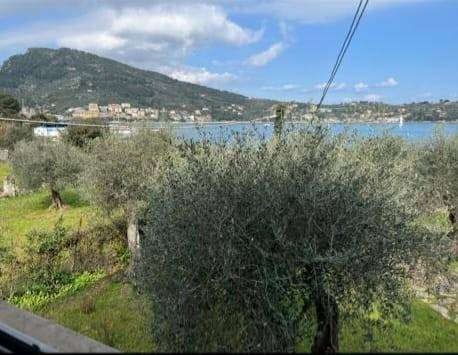 immagine annuncio 0 di 5