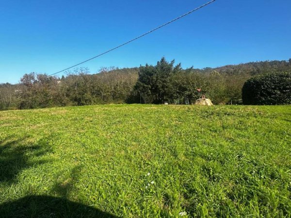 terreno agricolo in vendita a Riccò del Golfo di Spezia