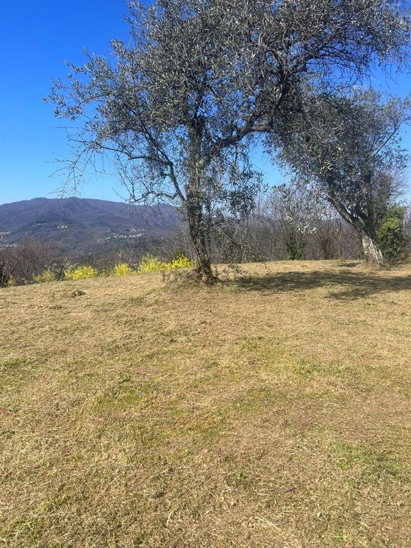 terreno edificabile in vendita a Riccò del Golfo di Spezia in zona Polverara