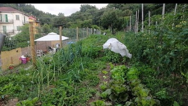 appartamento in vendita a Riccò del Golfo di Spezia
