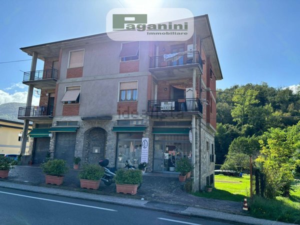 appartamento in vendita a Riccò del Golfo di Spezia