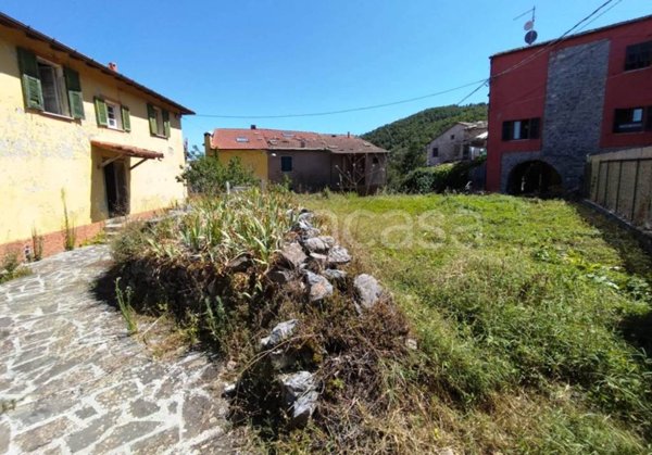 immagine annuncio 0 di 14