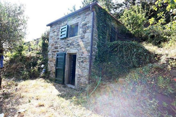 immagine annuncio 0 di 1
