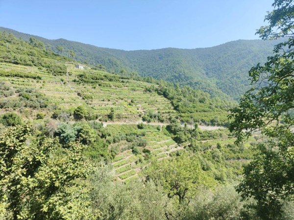 appartamento in vendita a Riomaggiore in zona Volastra
