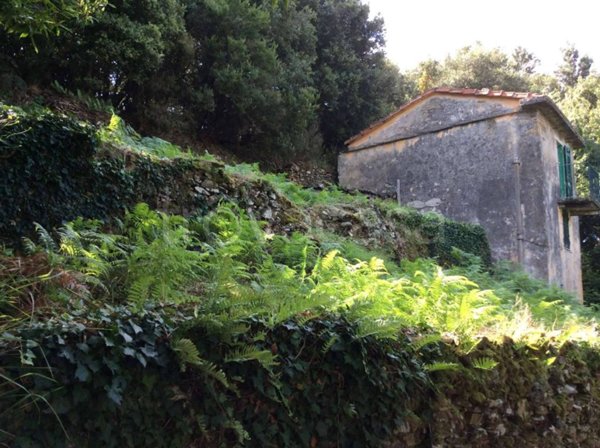 appartamento in vendita a Riomaggiore