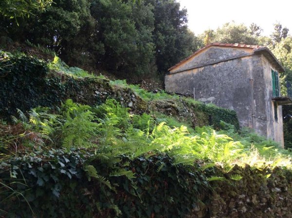 appartamento in vendita a Riomaggiore