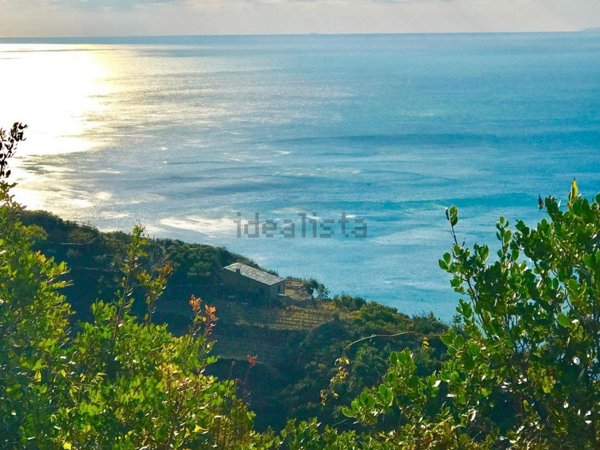 appartamento in vendita a Riomaggiore