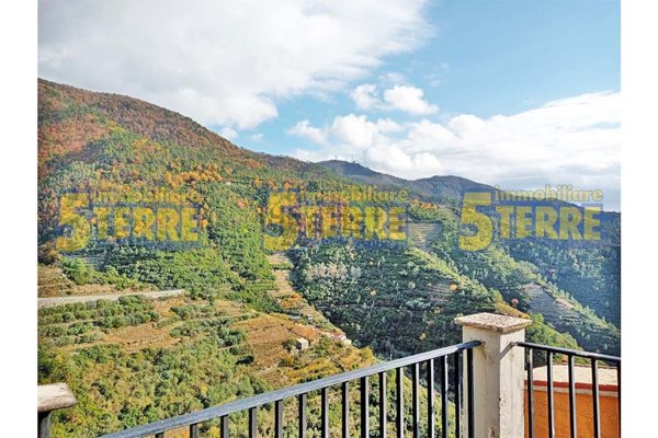 appartamento in vendita a Riomaggiore in zona Manarola