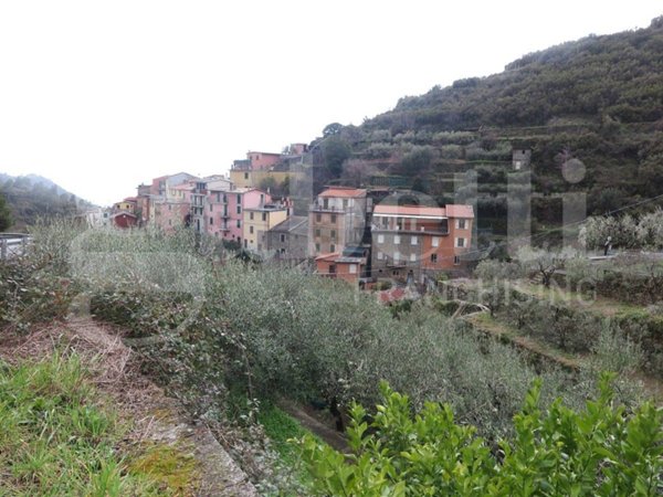 appartamento in vendita a Riomaggiore in zona Manarola