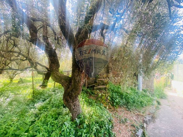 appartamento in vendita a Riomaggiore in zona Manarola