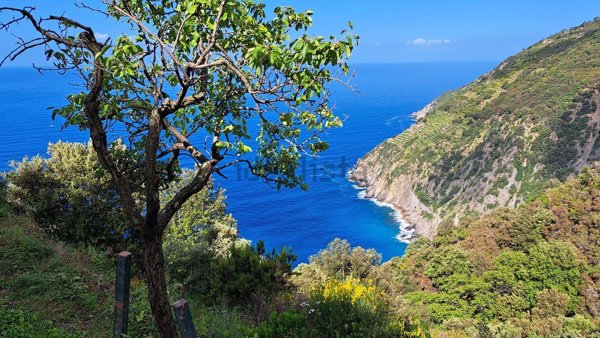 appartamento in vendita a Riomaggiore