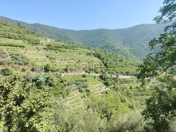 appartamento in vendita a Riomaggiore in zona Volastra