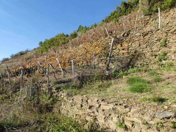 casa indipendente in vendita a Riomaggiore in zona Volastra