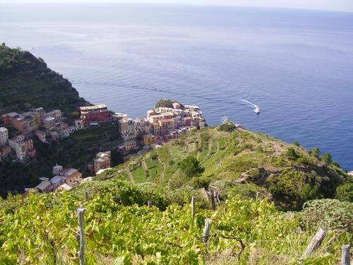 negozio in vendita a Riomaggiore in zona Volastra