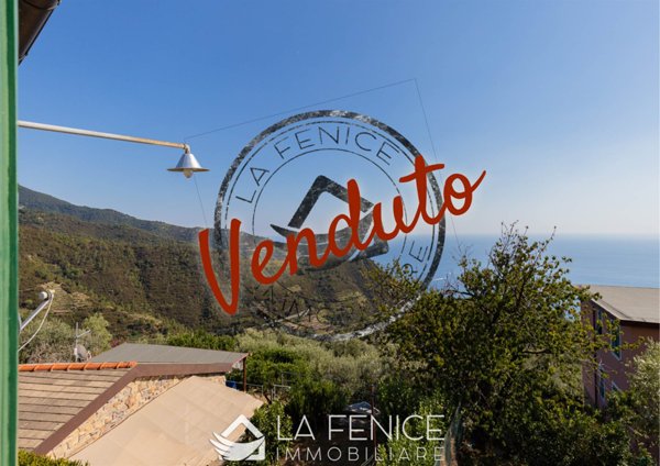 negozio in vendita a Riomaggiore in zona Volastra