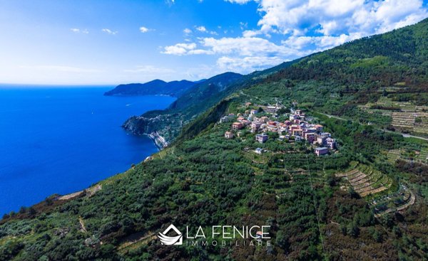 appartamento in vendita a Riomaggiore in zona Volastra
