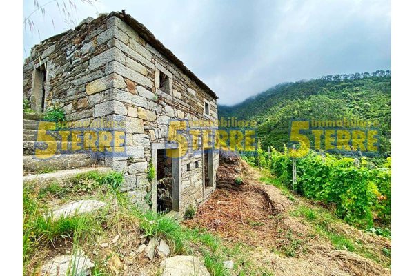 appartamento in vendita a Riomaggiore in zona Volastra