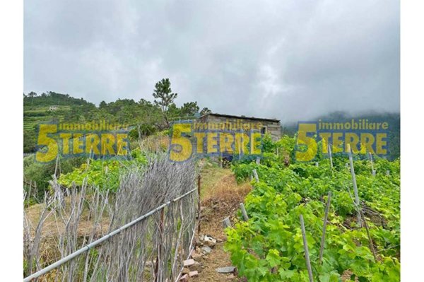 appartamento in vendita a Riomaggiore in zona Volastra
