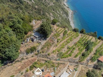 casa indipendente in vendita a Riomaggiore