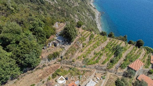 casa indipendente in vendita a Riomaggiore