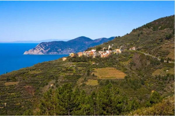 appartamento in vendita a Riomaggiore in zona Manarola