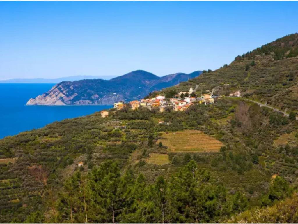 appartamento in vendita a Riomaggiore in zona Volastra