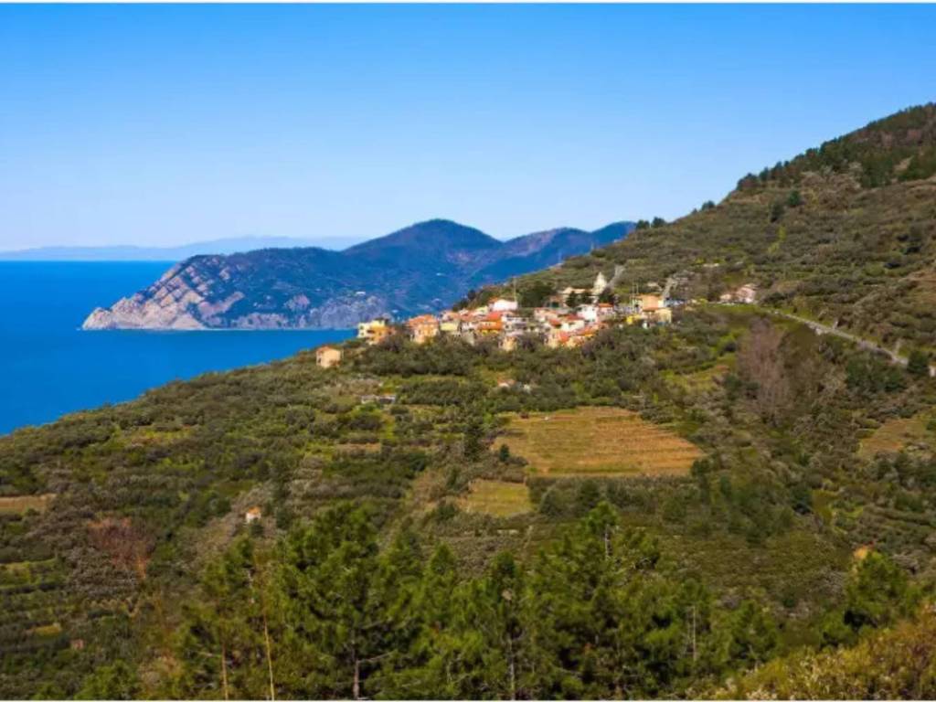appartamento in vendita a Riomaggiore in zona Volastra