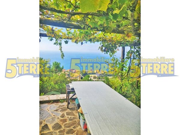 casa indipendente in vendita a Riomaggiore in zona Volastra