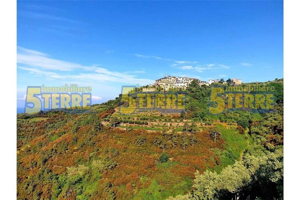 appartamento in vendita a Riomaggiore in zona Manarola
