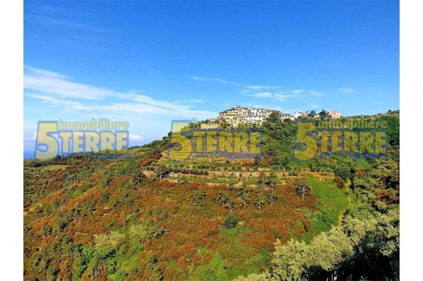 appartamento in vendita a Riomaggiore in zona Manarola