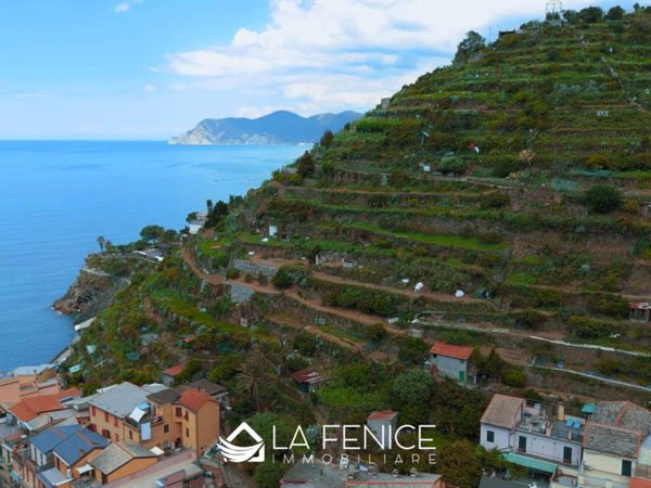 locale commerciale in vendita a Riomaggiore in zona Manarola