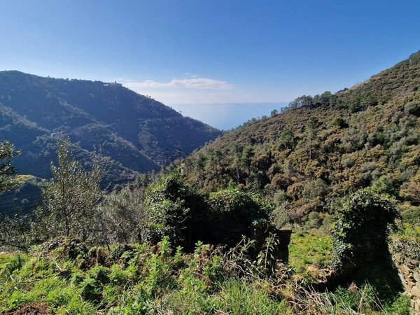 appartamento in vendita a Riomaggiore