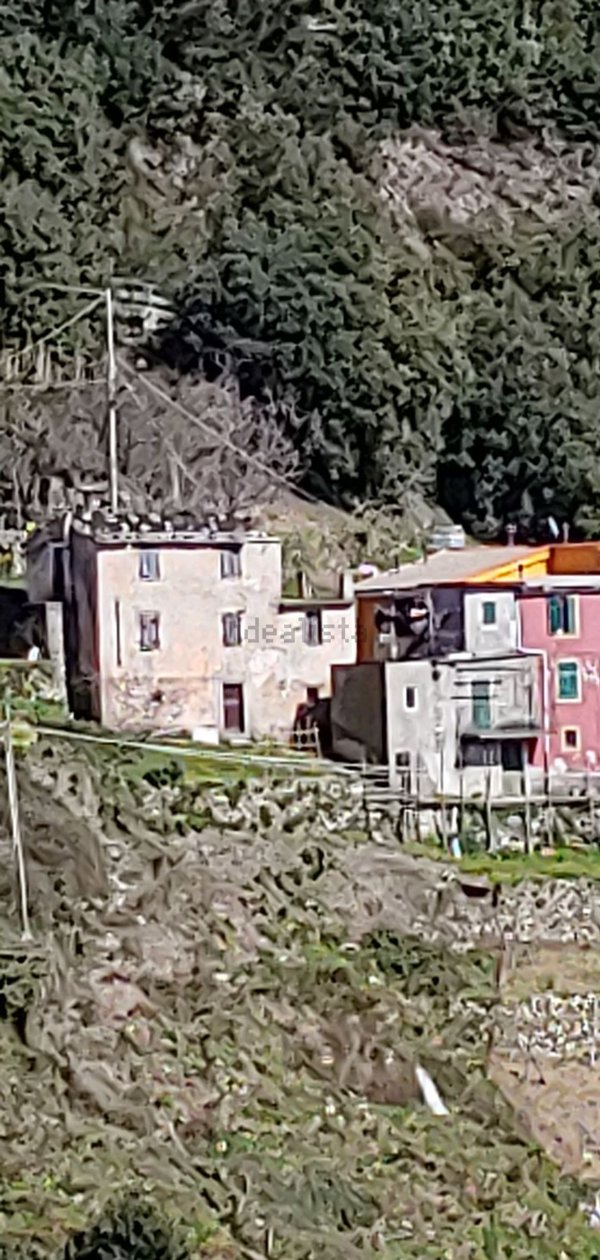 esavano in vendita a Riomaggiore