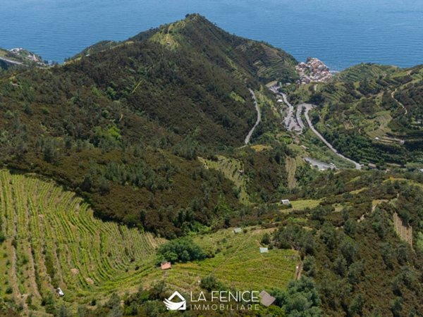 appartamento in vendita a Riomaggiore