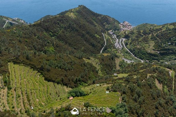 appartamento in vendita a Riomaggiore