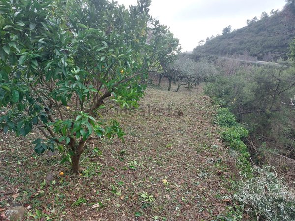 terreno agricolo in vendita a Riomaggiore
