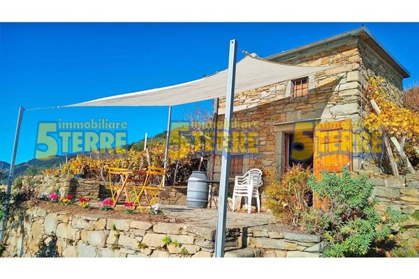 appartamento in vendita a Riomaggiore