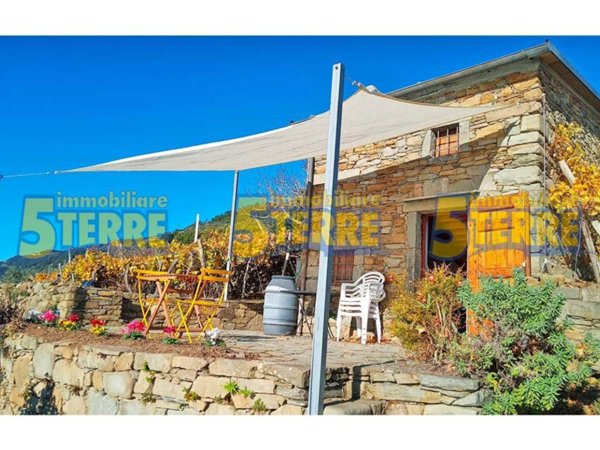 casa indipendente in vendita a Riomaggiore