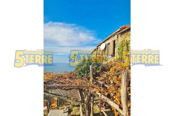 casa indipendente in vendita a Riomaggiore