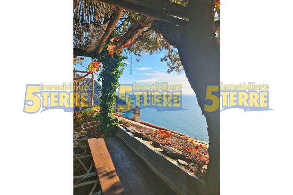 appartamento in vendita a Riomaggiore