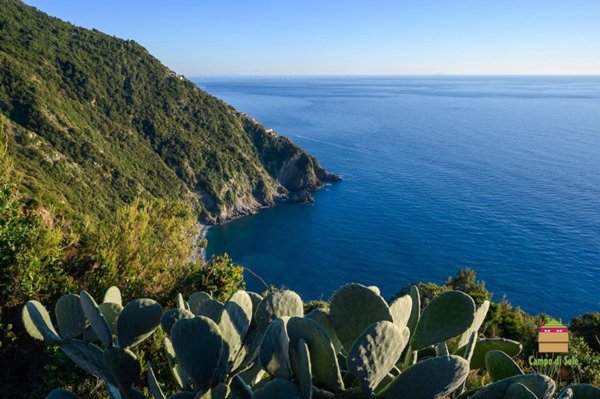 casa indipendente in vendita a Riomaggiore