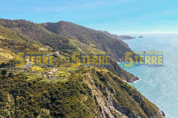 appartamento in vendita a Riomaggiore