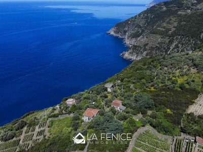 casa indipendente in vendita a Riomaggiore
