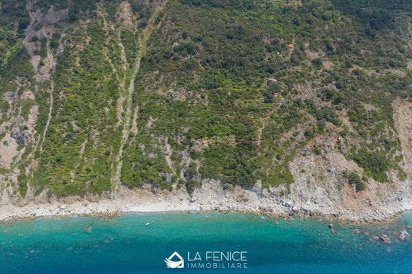 pentavano in vendita a Riomaggiore