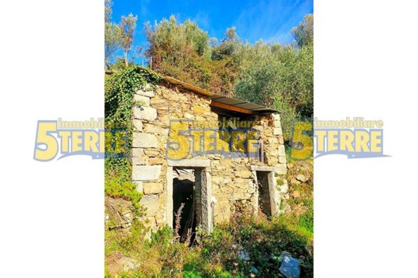 casa indipendente in vendita a Riomaggiore in zona Manarola