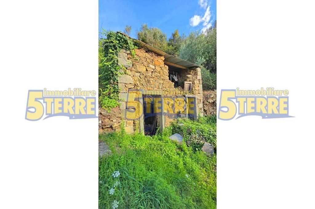 casa indipendente in vendita a Riomaggiore in zona Manarola