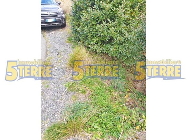 casa indipendente in vendita a Riomaggiore in zona Manarola