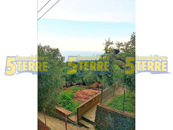 appartamento in vendita a Riomaggiore in zona Volastra