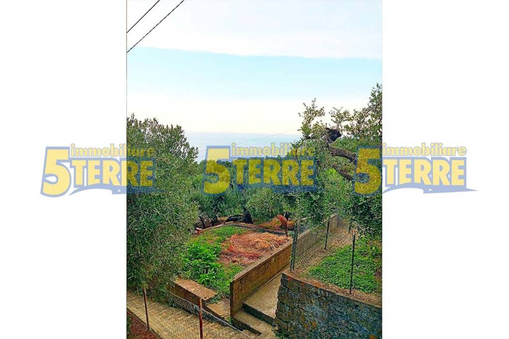 appartamento in vendita a Riomaggiore in zona Manarola